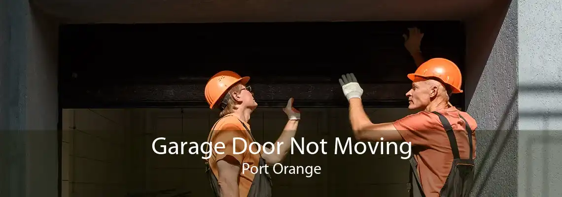 Garage Door Not Moving Port Orange