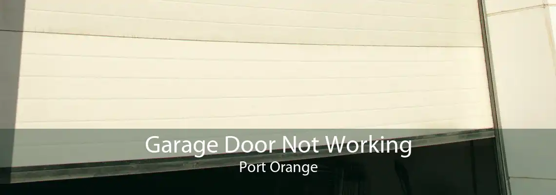Garage Door Not Working Port Orange