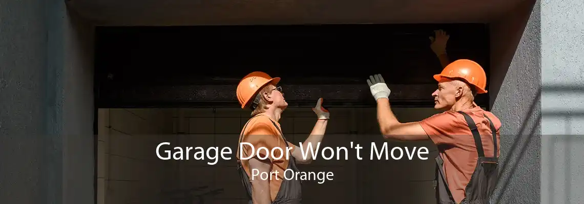 Garage Door Won't Move Port Orange